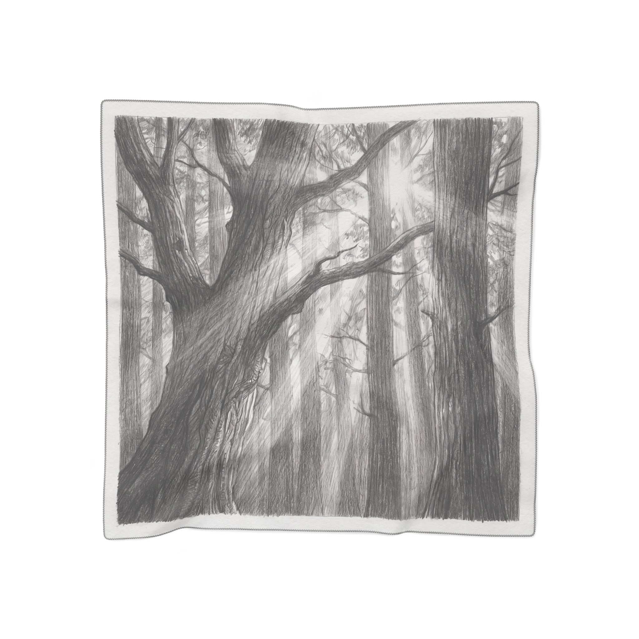 Whitlock - Forest Light Sketch Scarf